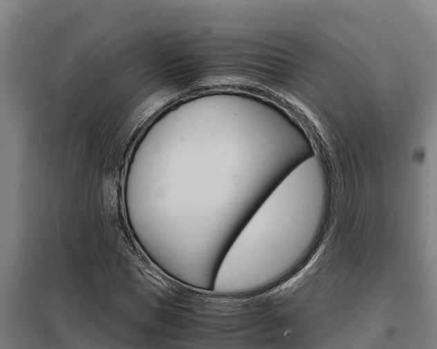 X0000098040921200803280751