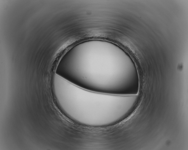 X0000098040922200803280751