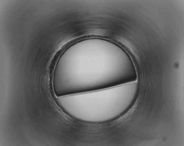 X0000098040923200803280751