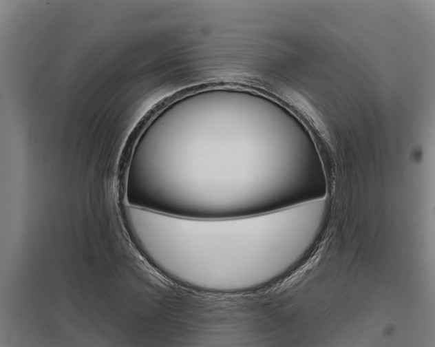 X0000098040924200803280751