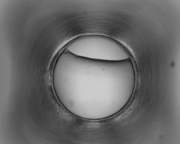 X0000098040925200803280751