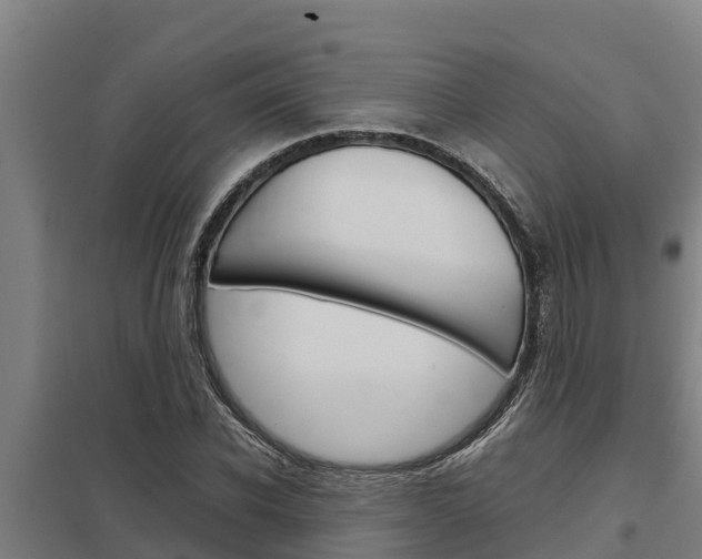 X0000098040926200803280751