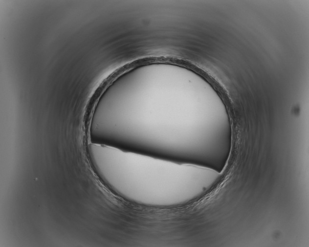 X0000098040927200803280751