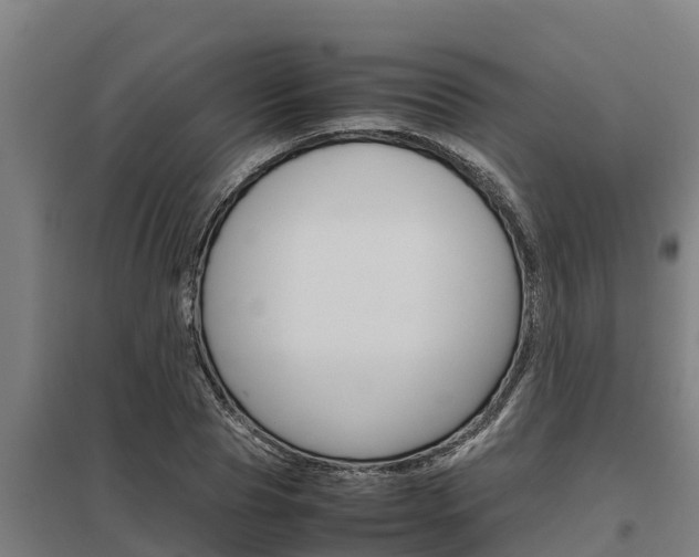 X0000098040929200803280751