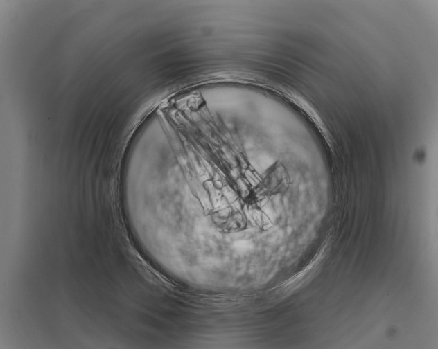X0000098040930200803280751