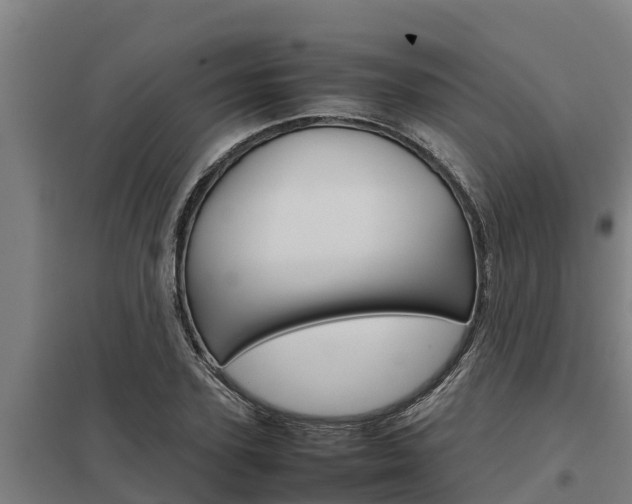 X0000098040931200803280751