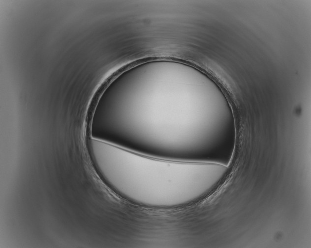 X0000098040932200803280751