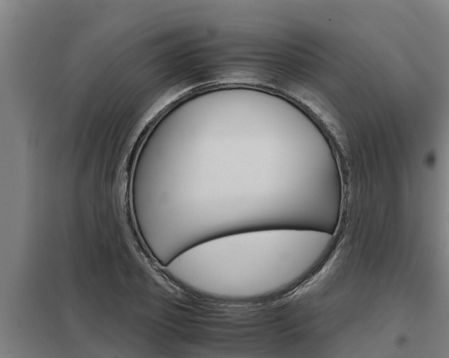 X0000098040933200803280751
