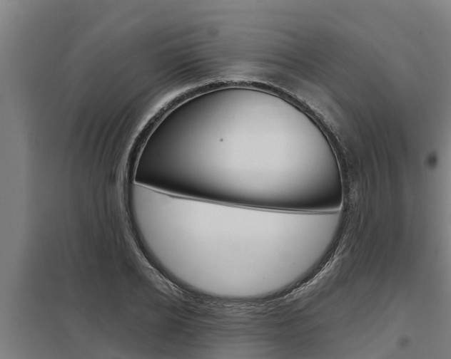 X0000098040934200803280751