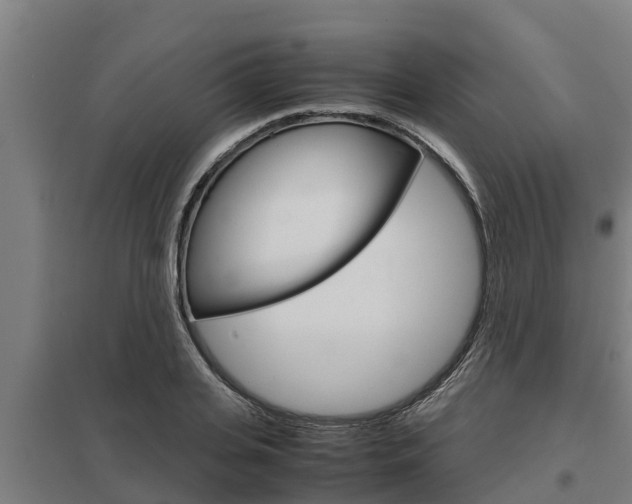 X0000098040935200803280751