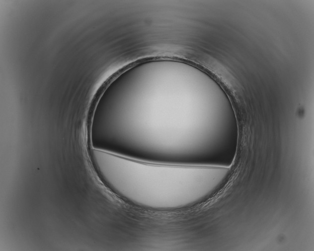 X0000098040936200803280751
