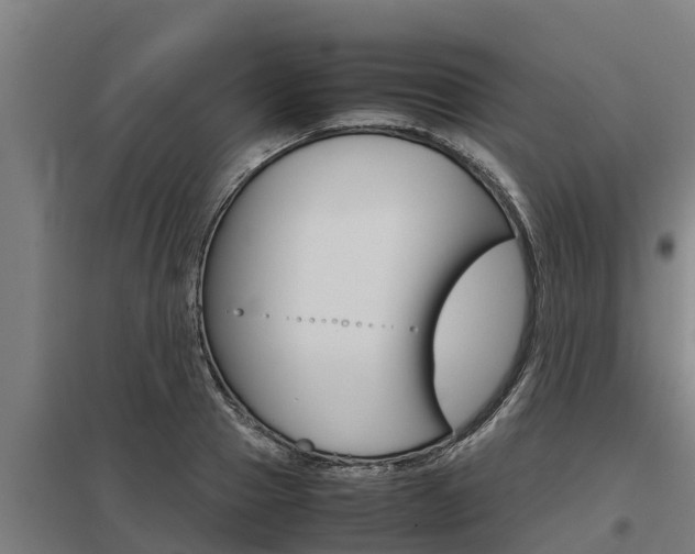 X0000098040937200803280751