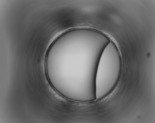 X0000098040941200803280751