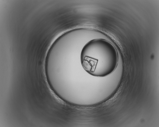 X0000098040942200803280751