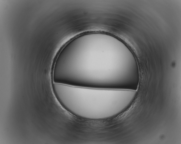 X0000098040943200803280751