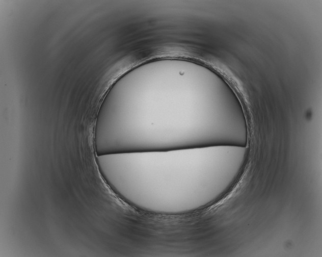 X0000098040945200803280751