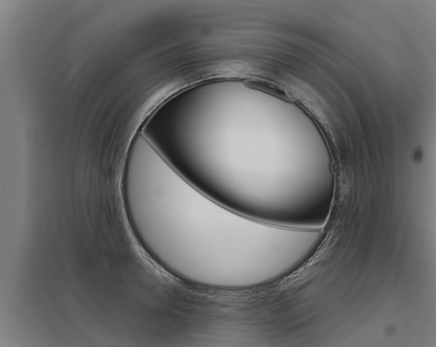 X0000098040946200803280751