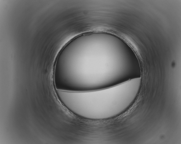 X0000098040948200803280751