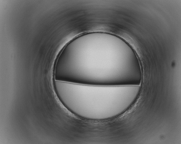 X0000098040949200803280751