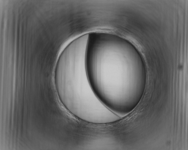 X0000098040960200803280751