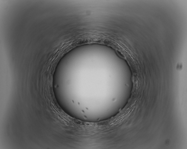 X0000098040961200803280751
