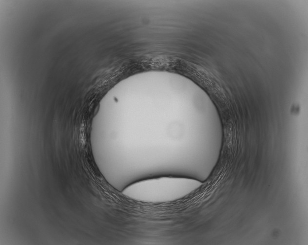X0000098040962200803280750