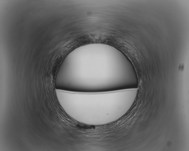 X0000098040963200803280750