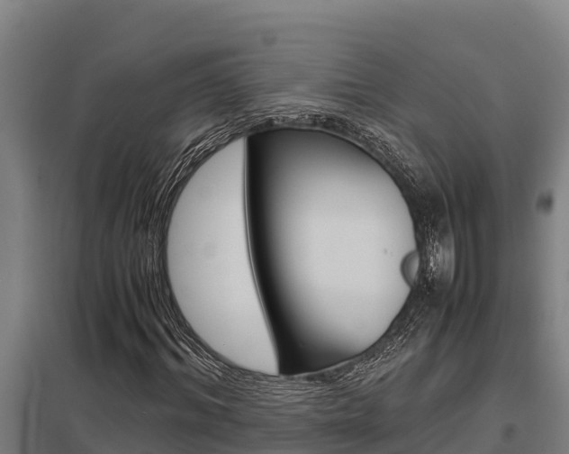 X0000098040964200803280750