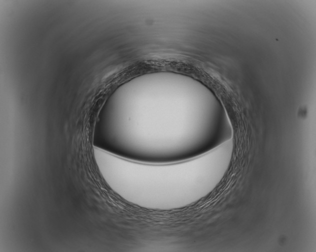 X0000098040965200803280750