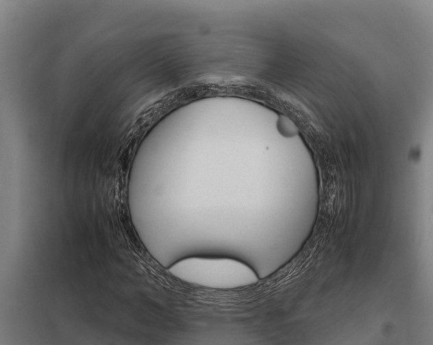 X0000098040966200803280750