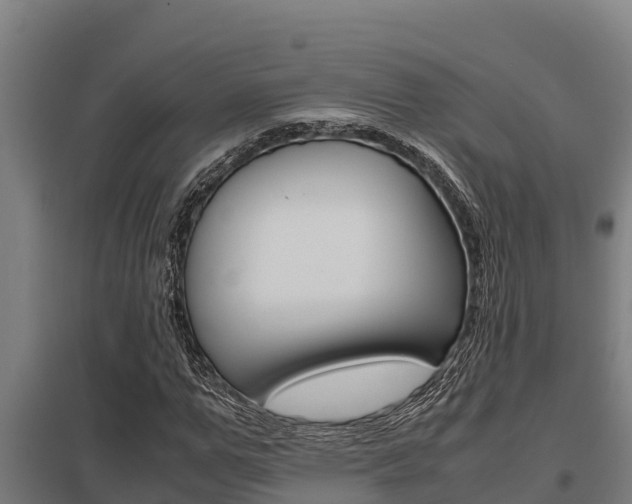 X0000098040967200803280750