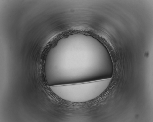 X0000098040968200803280750