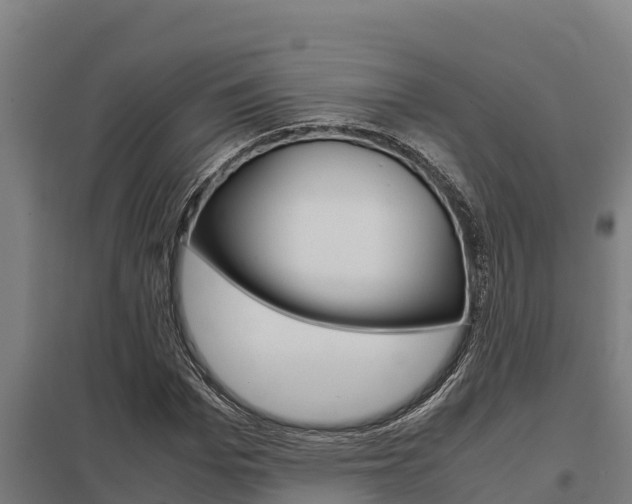 X0000098040969200803280750