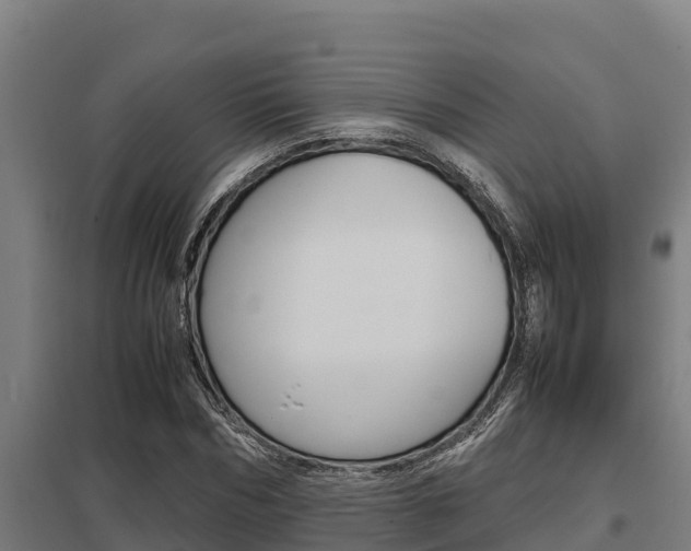 X0000098040970200803280750