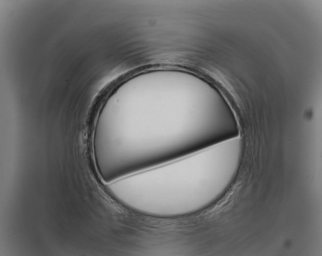 X0000098040971200803280750