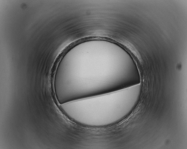 X0000098040972200803280750