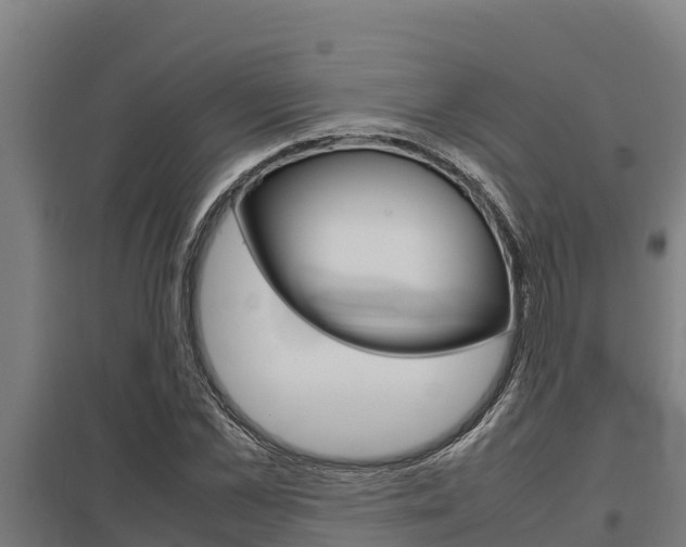 X0000098040973200803280750