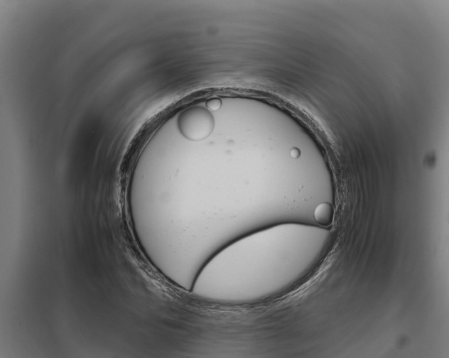 X0000098040974200803280750