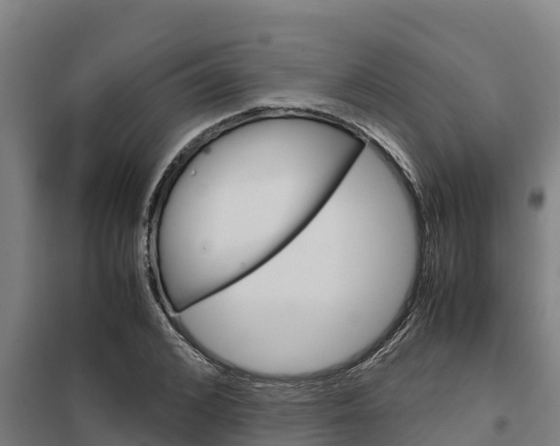 X0000098040976200803280750