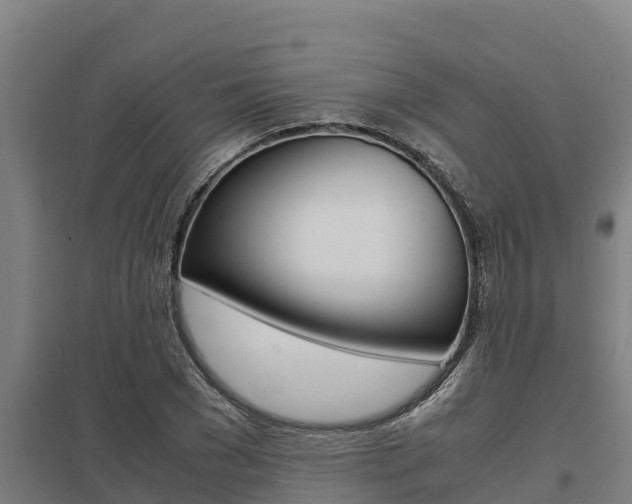 X0000098040977200803280750