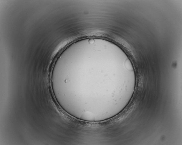X0000098040978200803280750