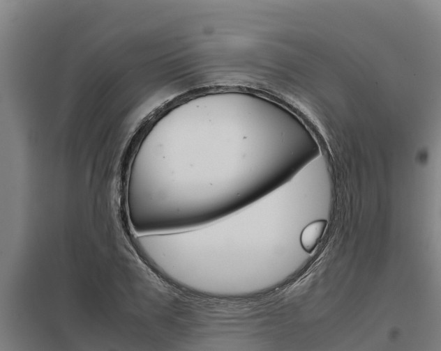 X0000098040979200803280750