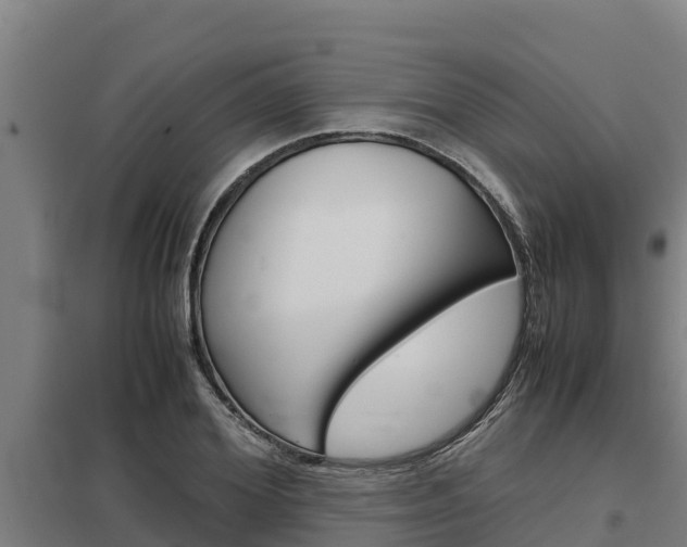 X0000098040980200803280750
