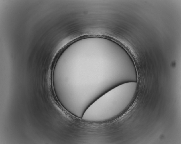 X0000098040982200803280750