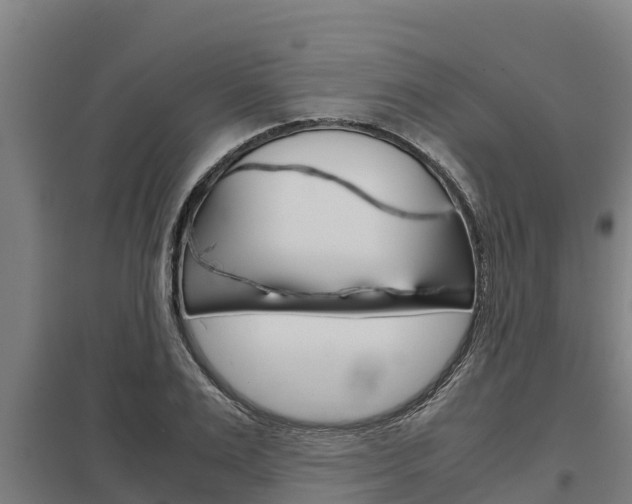 X0000098040983200803280750