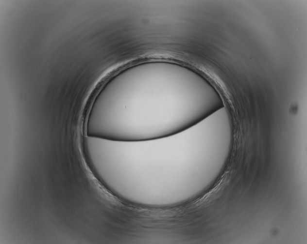 X0000098040984200803280750