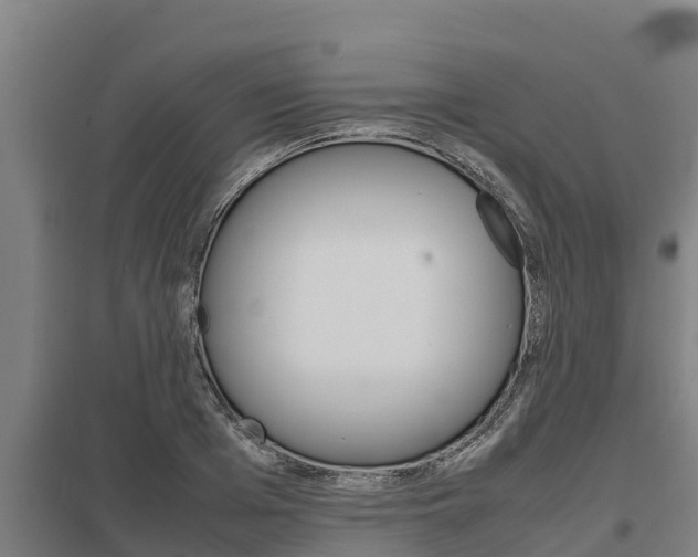 X0000098040985200803280750
