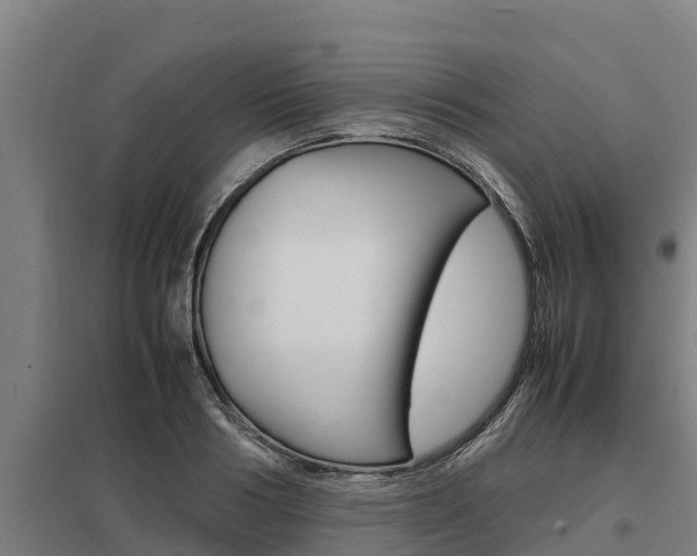 X0000098040986200803280750