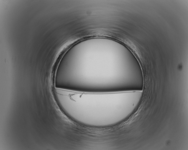 X0000098040987200803280750