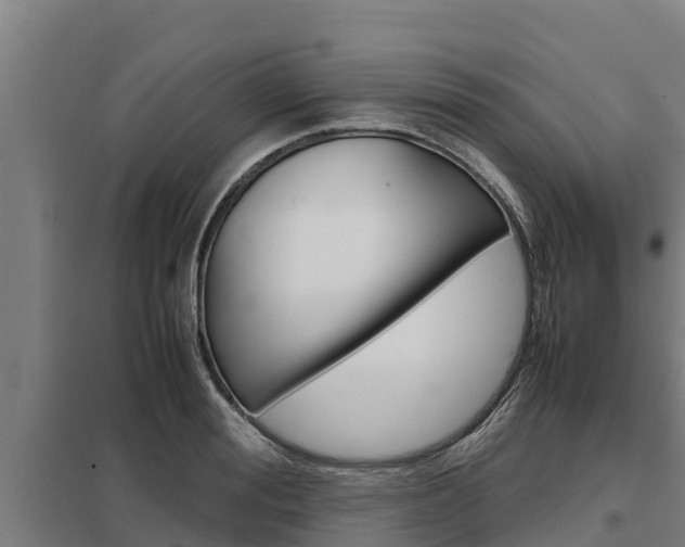 X0000098040988200803280750